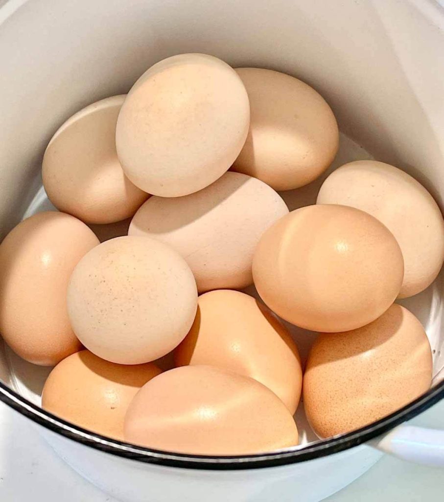 eggs in a white bucket to make eggshells for chickens