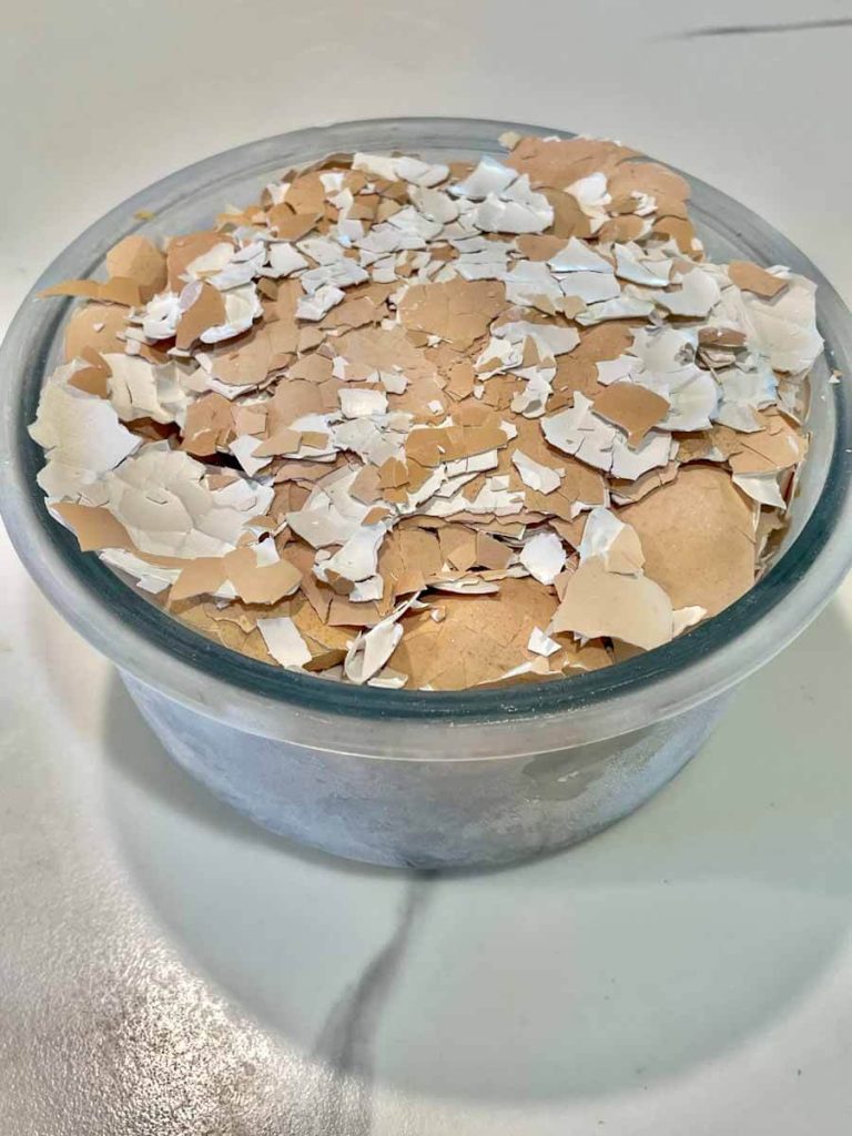 crushed eggshells in a glass container to make eggshells for chickens
