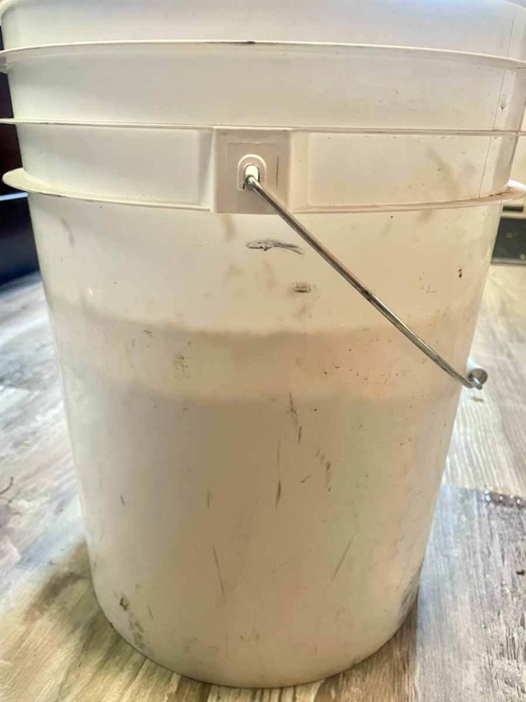 grain in a white bucket for fermenting chicken feed