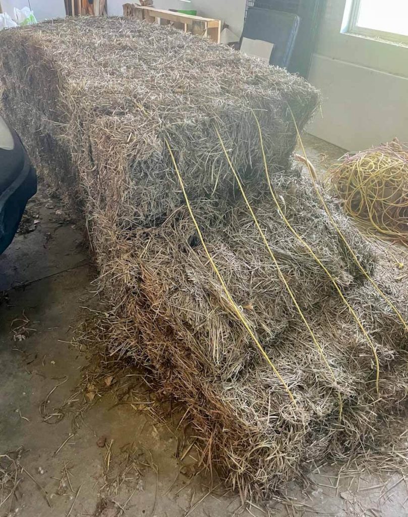 rectangular hay bale for winter homestead hay